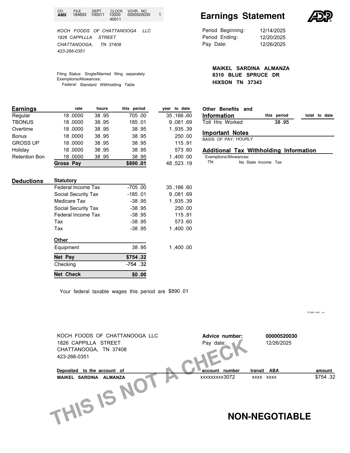 ADP paystub template preview