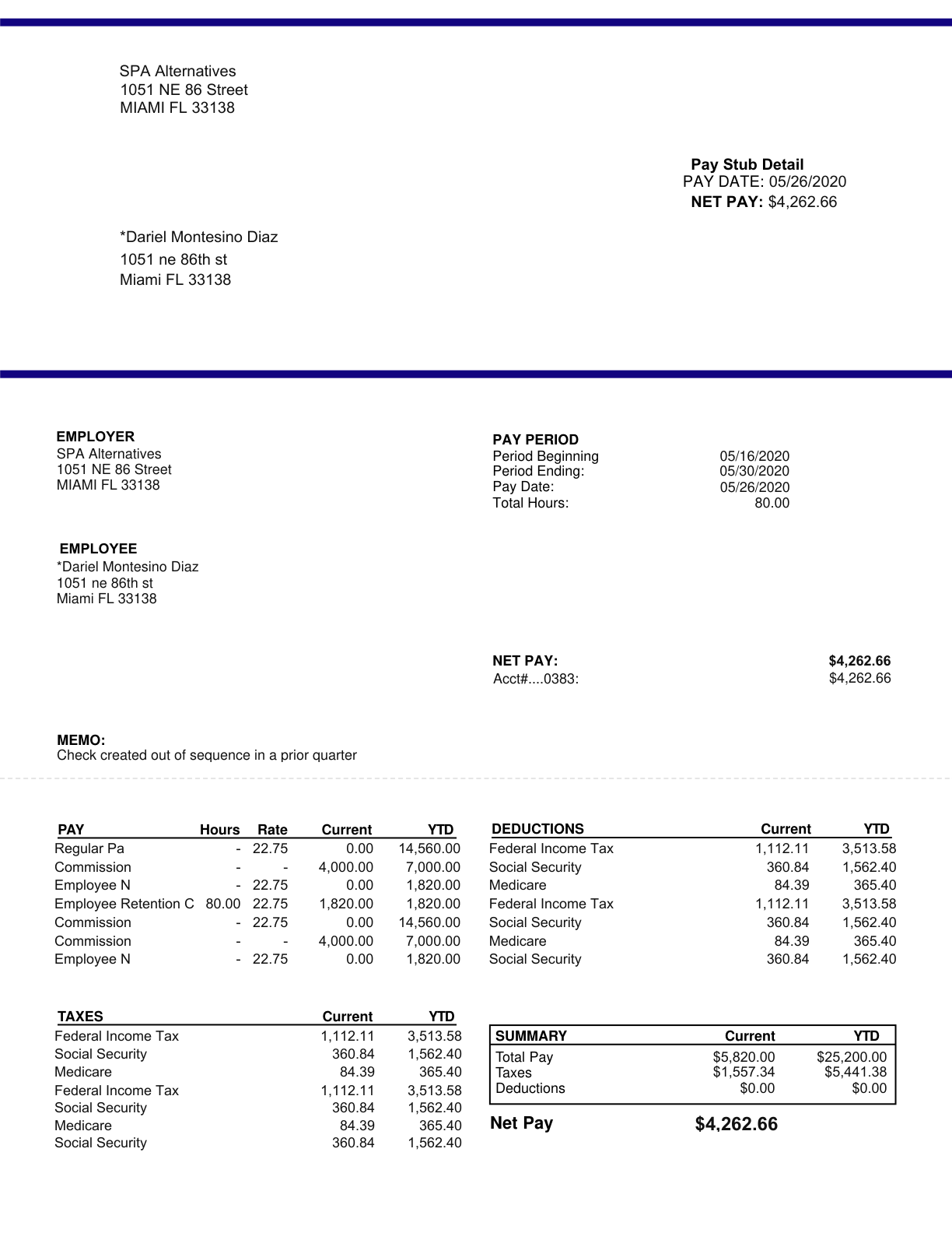 paystub template preview